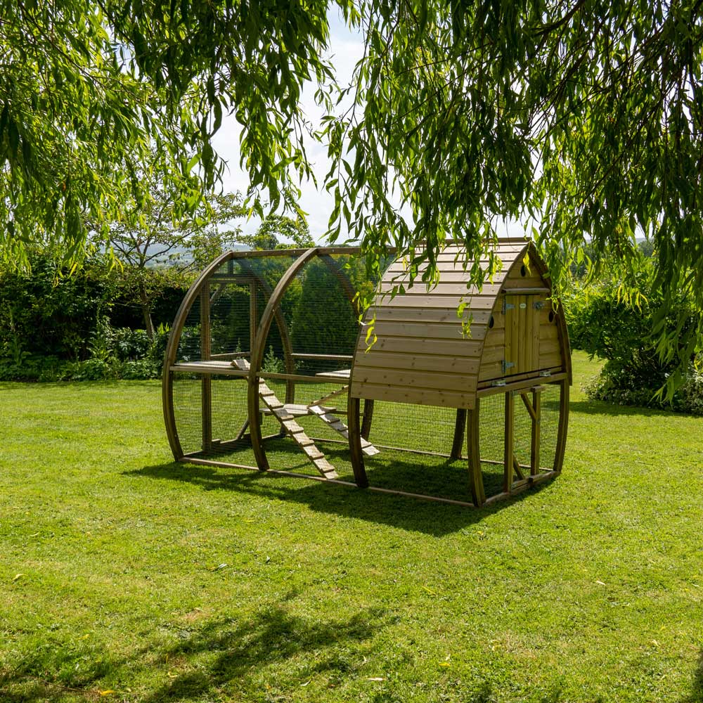 The Arch Cat House under the willow tree