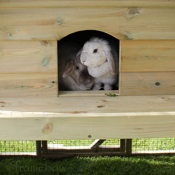 Arched Rabbit House - UK made by Flyte so Fancy