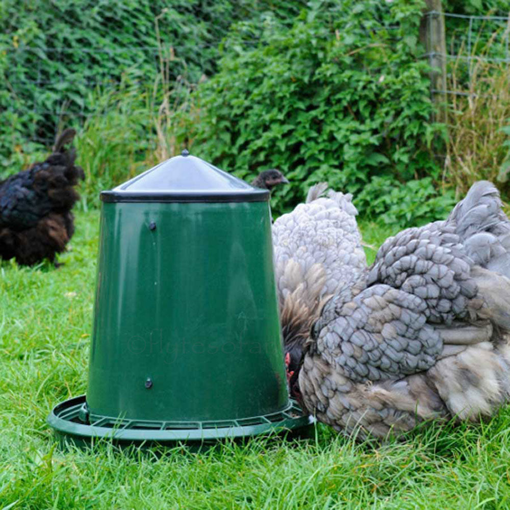 King 25kg Indoor Poultry Feeder with hens