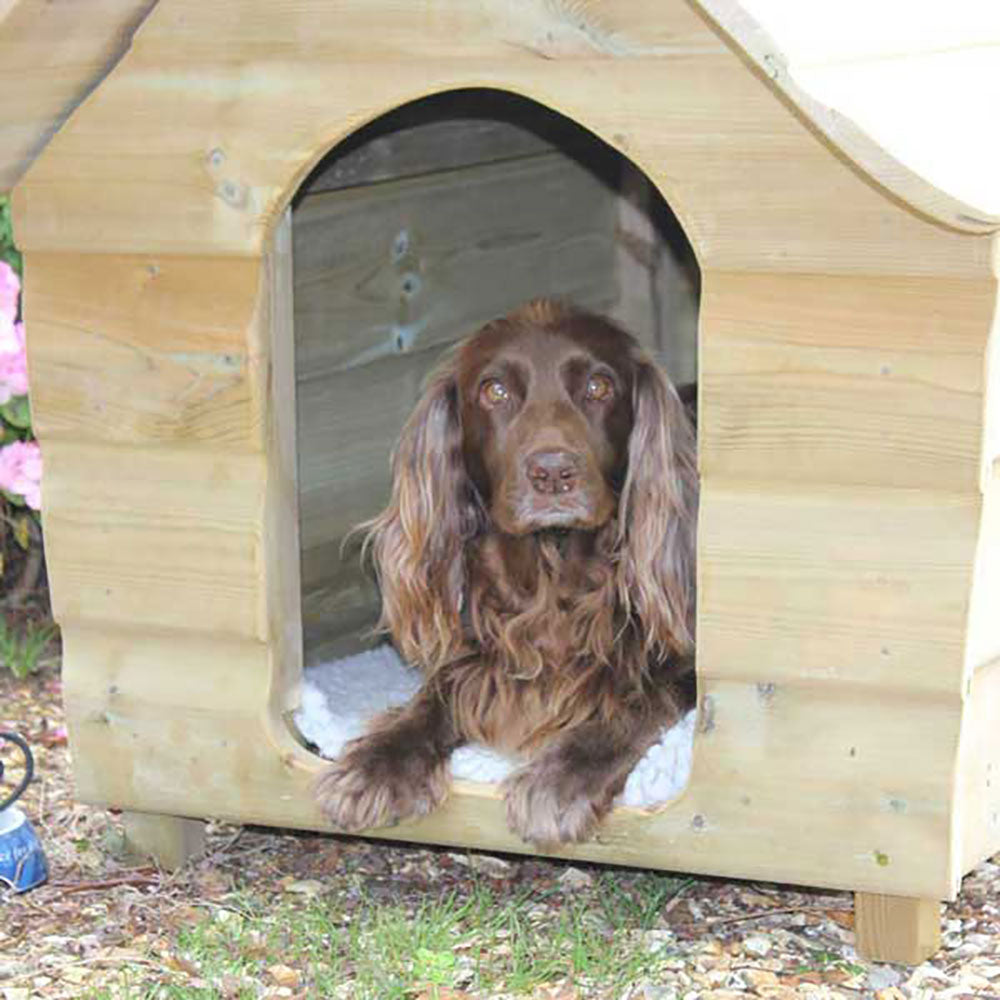 Medium-size Buckland Dog Kennel with Fly