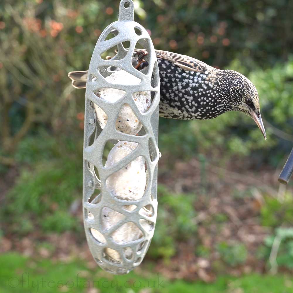 Recycled Plastic Fatball Feeder with Starling