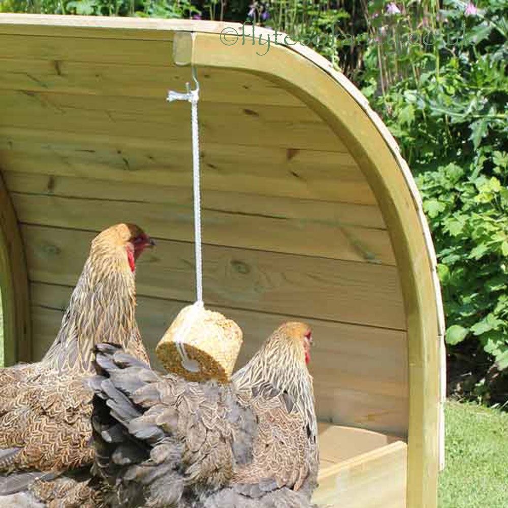 Curved Chicken Dustbath for hanging treats