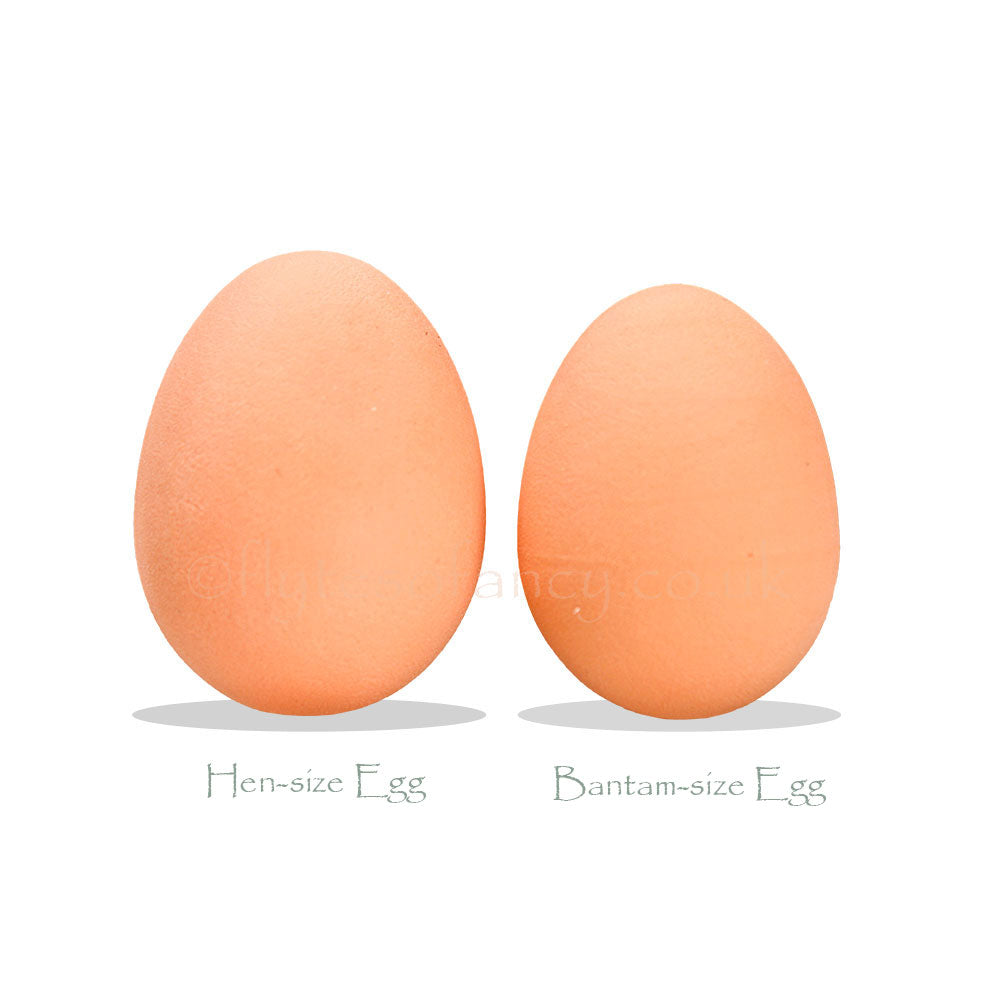 Dummy Rubber Eggs comparison