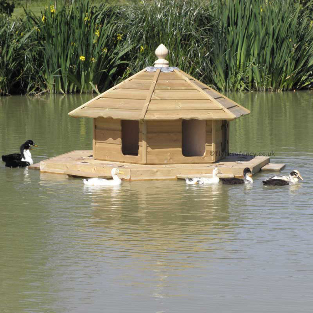 Floating Duck Lodge with Cayuga Ducks