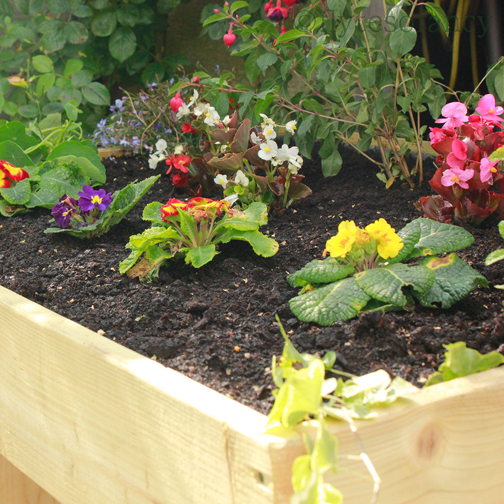 Bedding plants in Small Grow-Top Garden Store