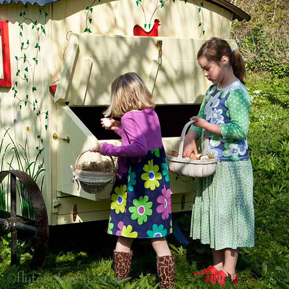 Gypsy Daydream Hen House, collecting eggs