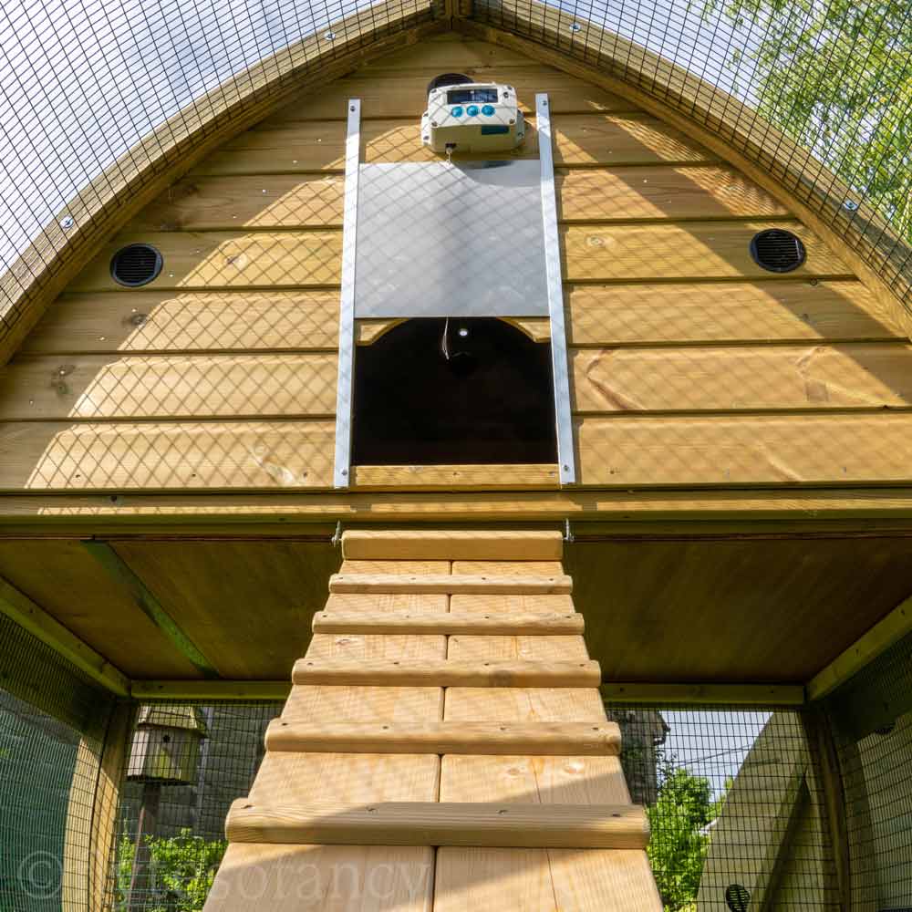 Chicken Guard Door Kit installed on Arch Chicken Coop