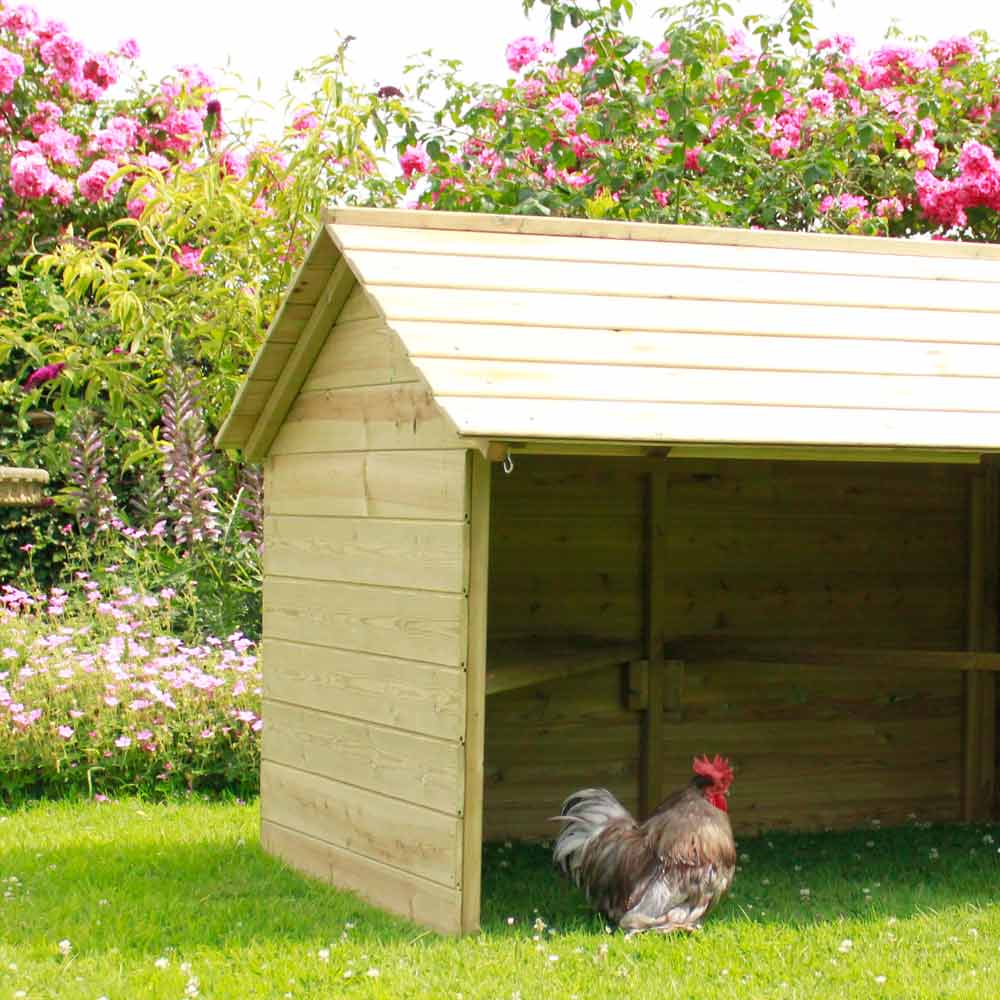 The Jumbo Chicken Shelter