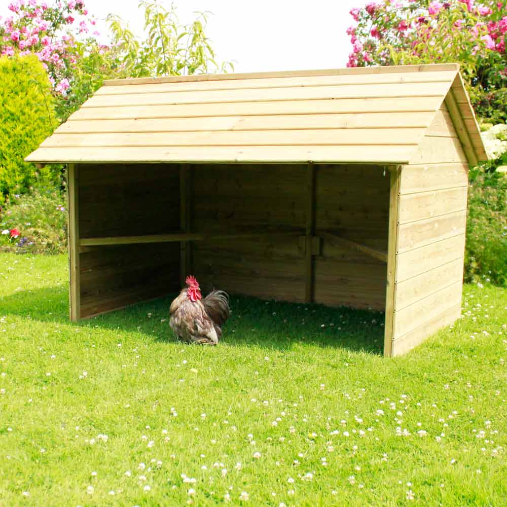 The Jumbo Chicken Shelter