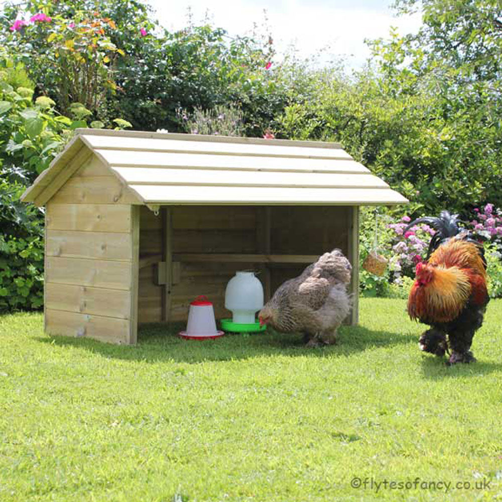 Large Chicken Shelter with Brahma Cockerel and hen
