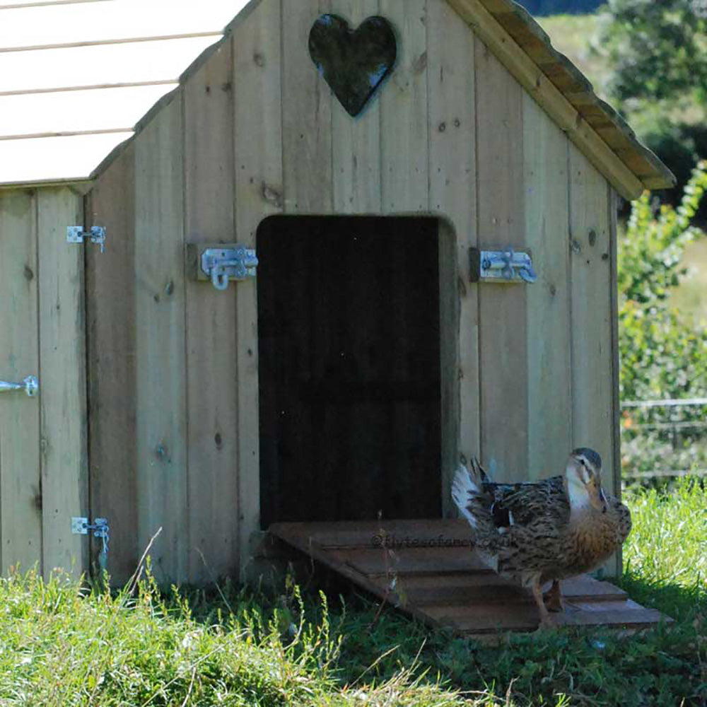 Large Classic Duck House with duck on ramp