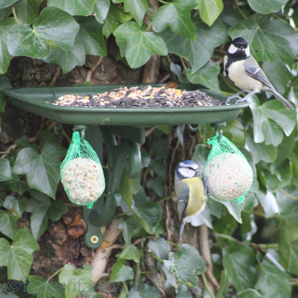 Osprey Green Bird Table Tray with Blue Tit and GreatTit