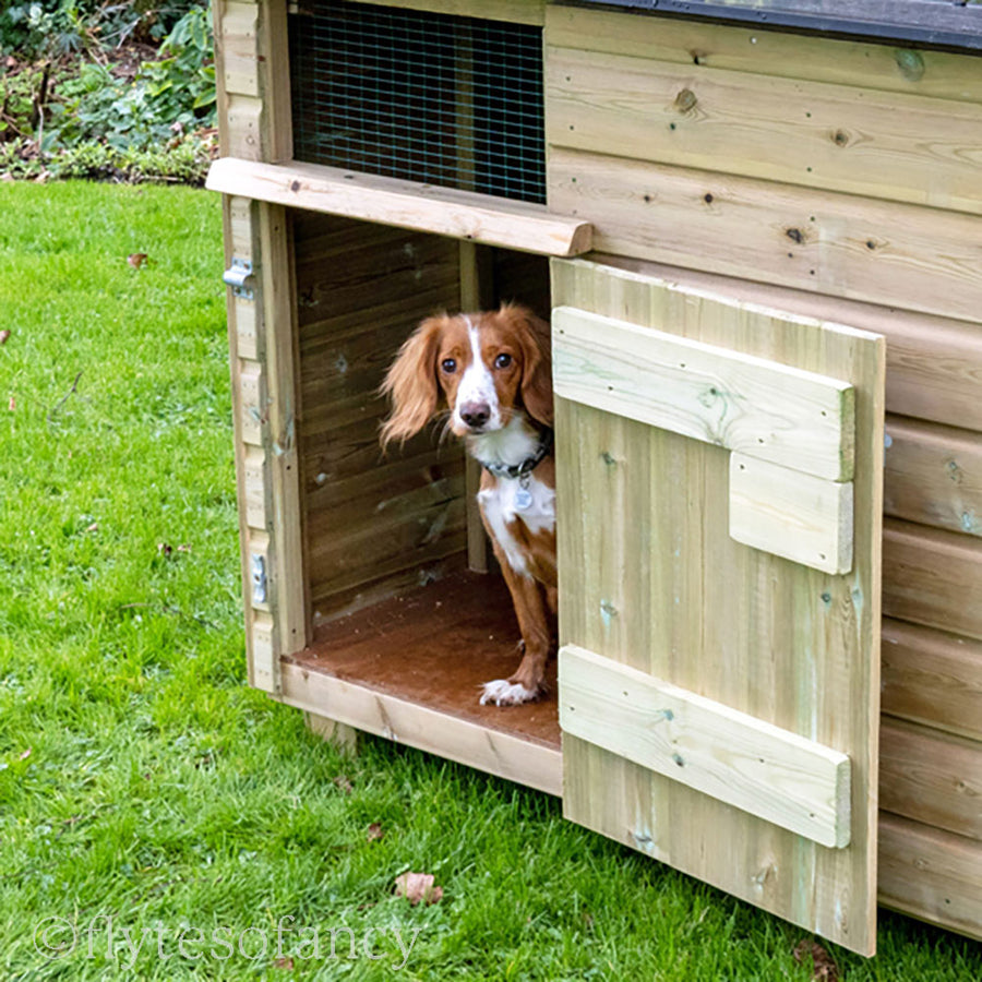 Outdoor Dog Kennel UK made by Flyte so Fancy