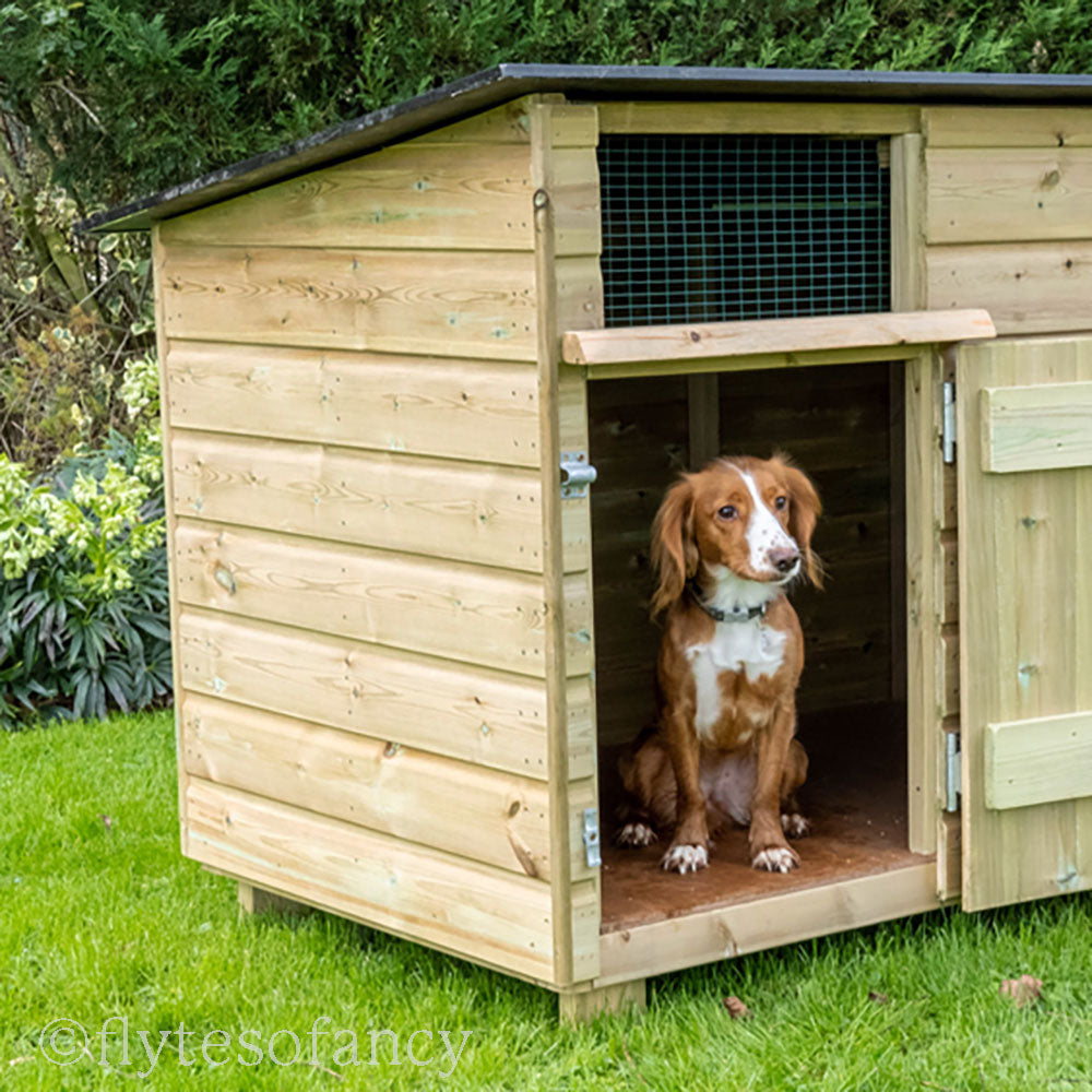 Outdoor Dog Kennel