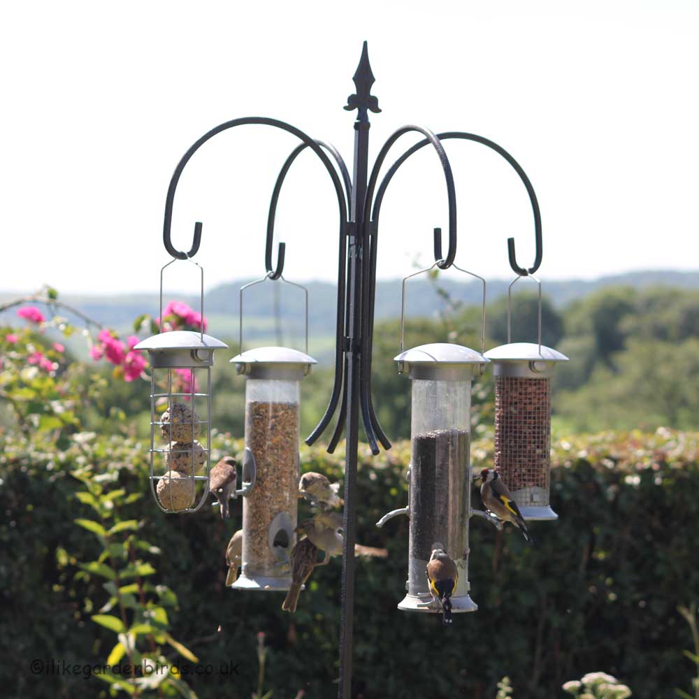 Poppy Forge 4-Way Steel Bird Feeder Pole with Goldfinches & Sparrows
