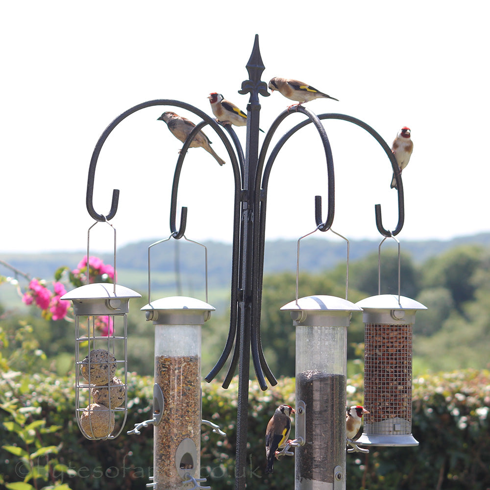 Poppy Forge 4-Way Steel Bird Feeder Pole with Goldfinches, 2
