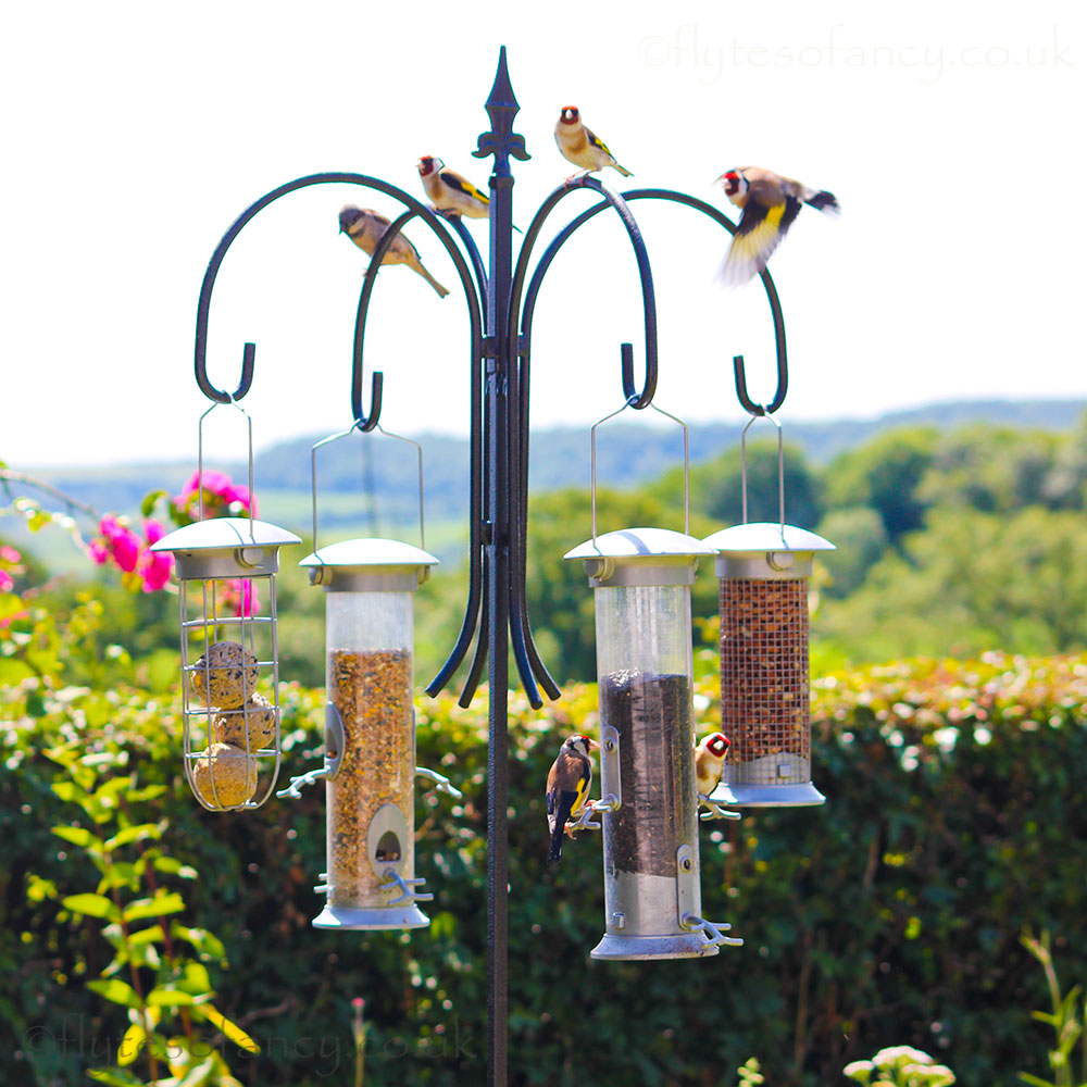Poppy Forge 4-Way Steel Bird Feeder Pole with Goldfinches, 3