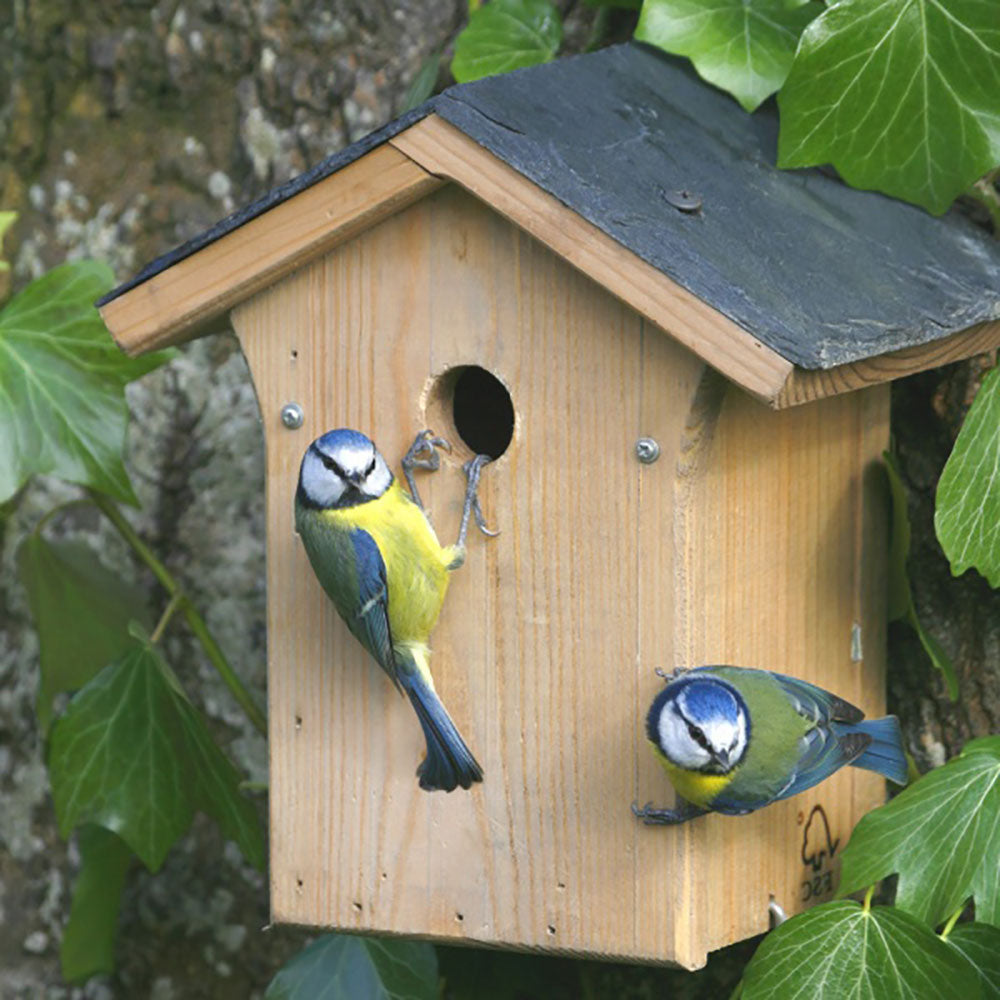 CJW Portland Slate Nest Box