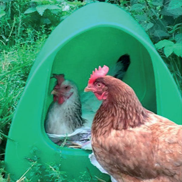 Poultry Palace Sheltered Nester