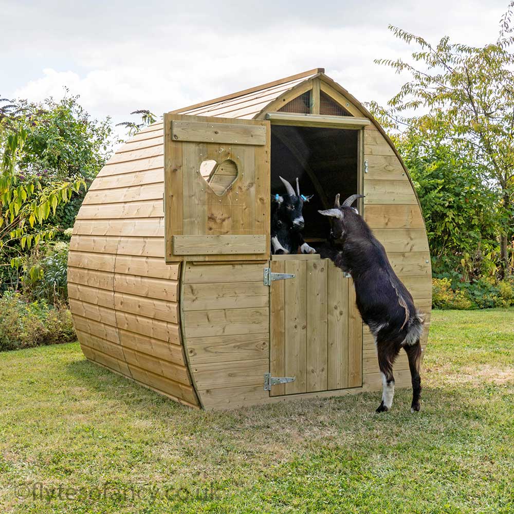 Arched Pygmy Goat House with Stable Door