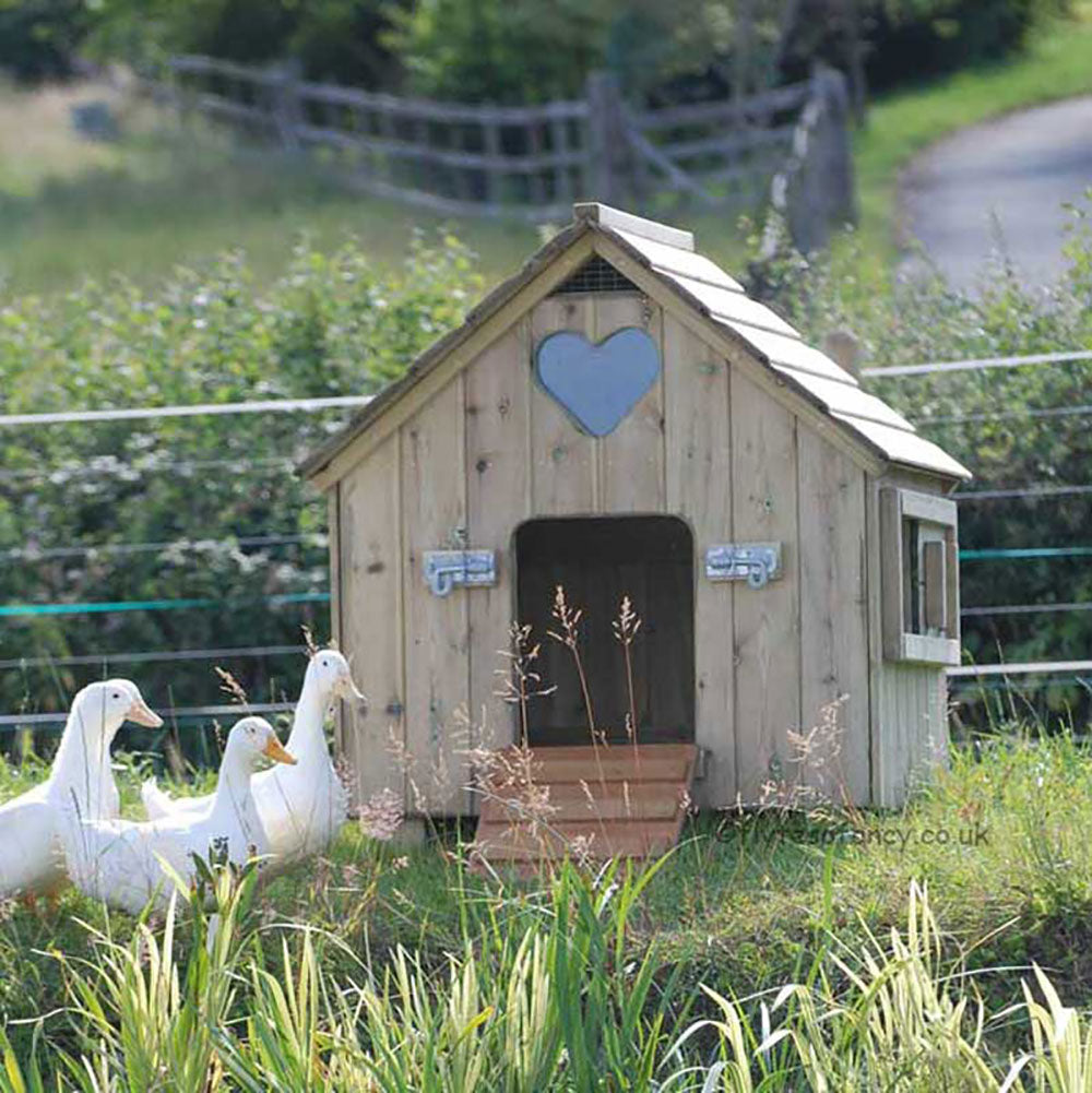 Small Classic Duck House with Cherry Valley Ducks