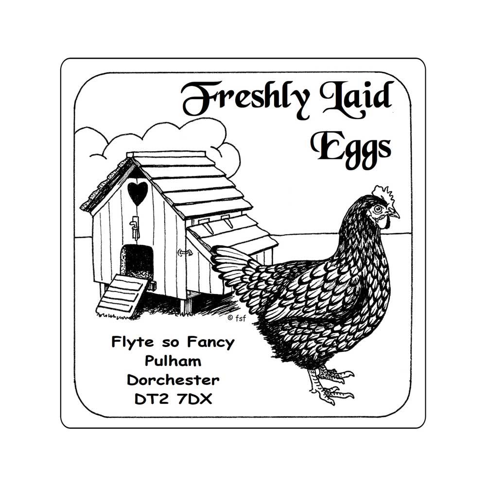 Small Freshly Laid Eggs labels, White