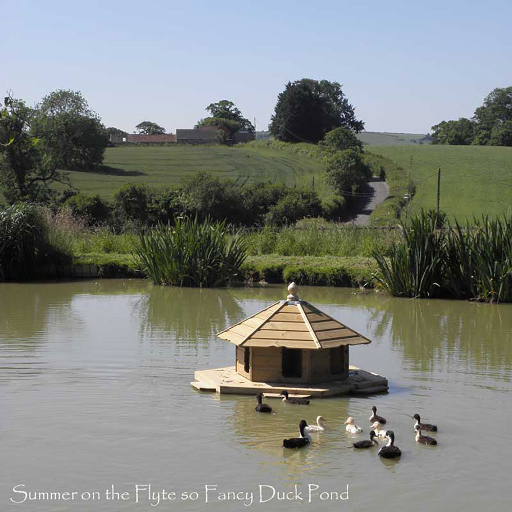 Floating Duck Lodge on the pond in summer