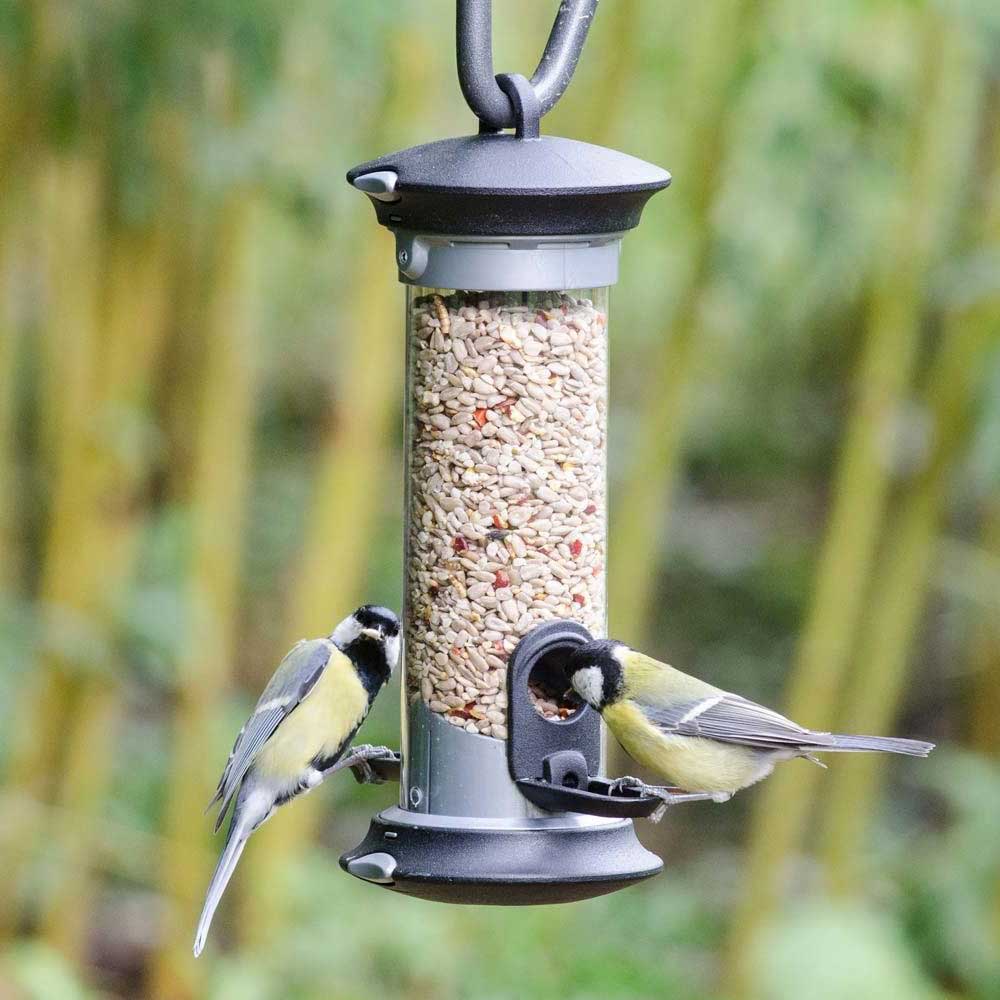 2-Port Apollo Seed Feeder