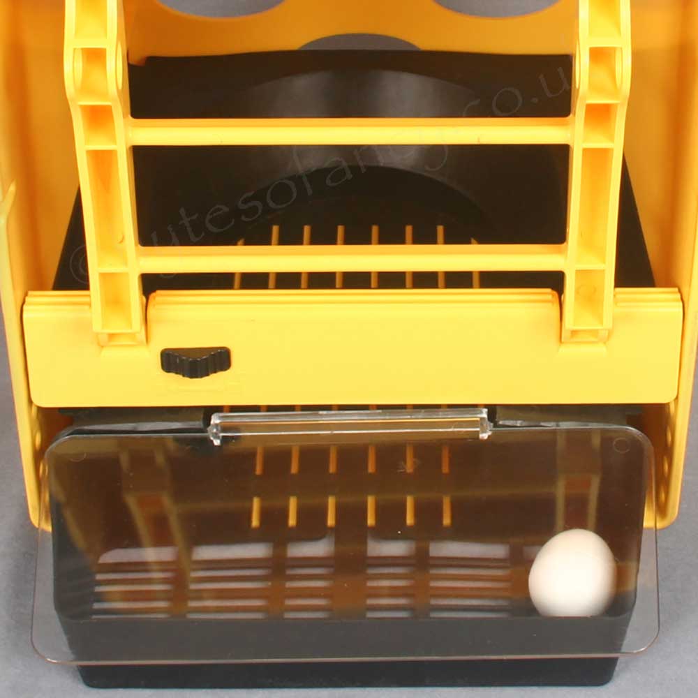 Egg tray of ChickBox Rollaway Plastic Nest Box