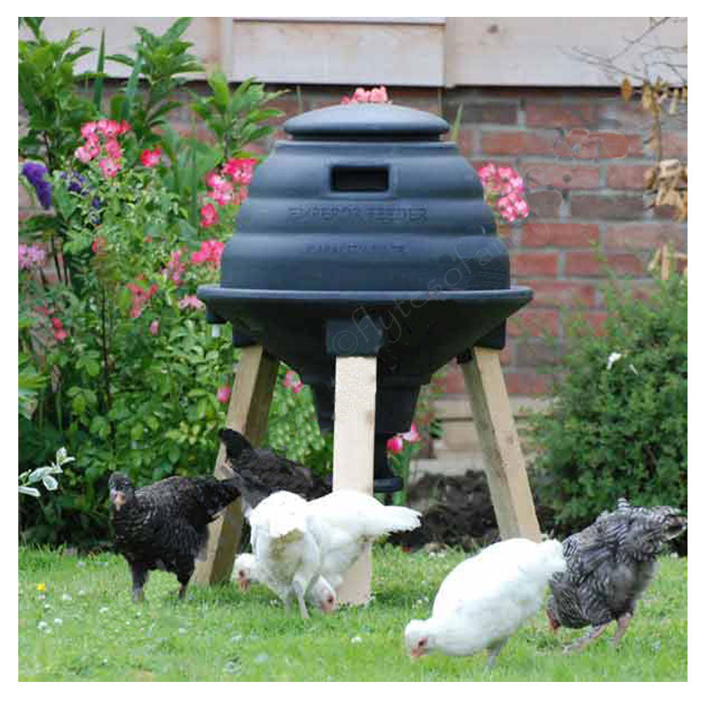 Emperor Poultry and Game Feeder with hens