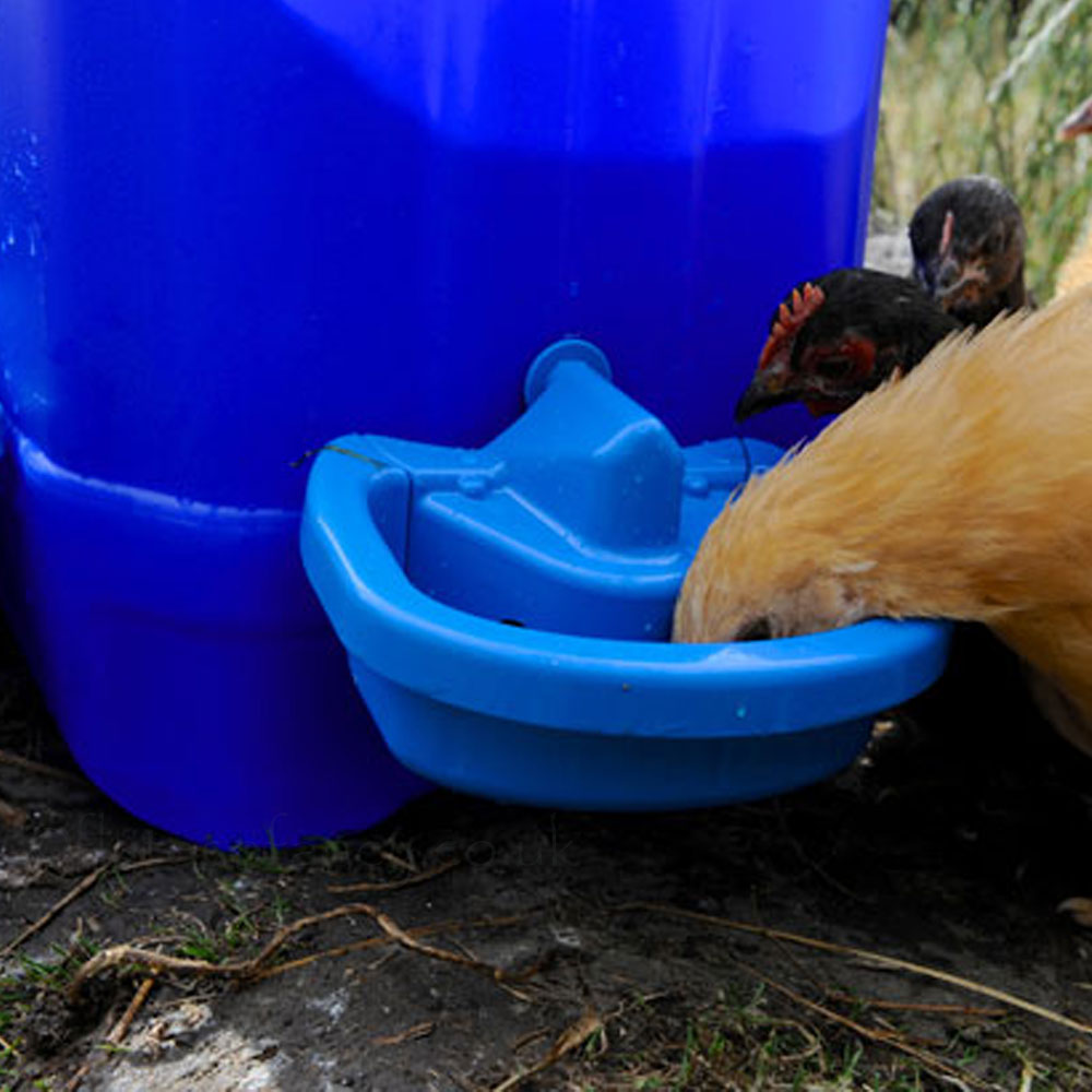 Close up of Maxi Cup Chicken Auto Drinker