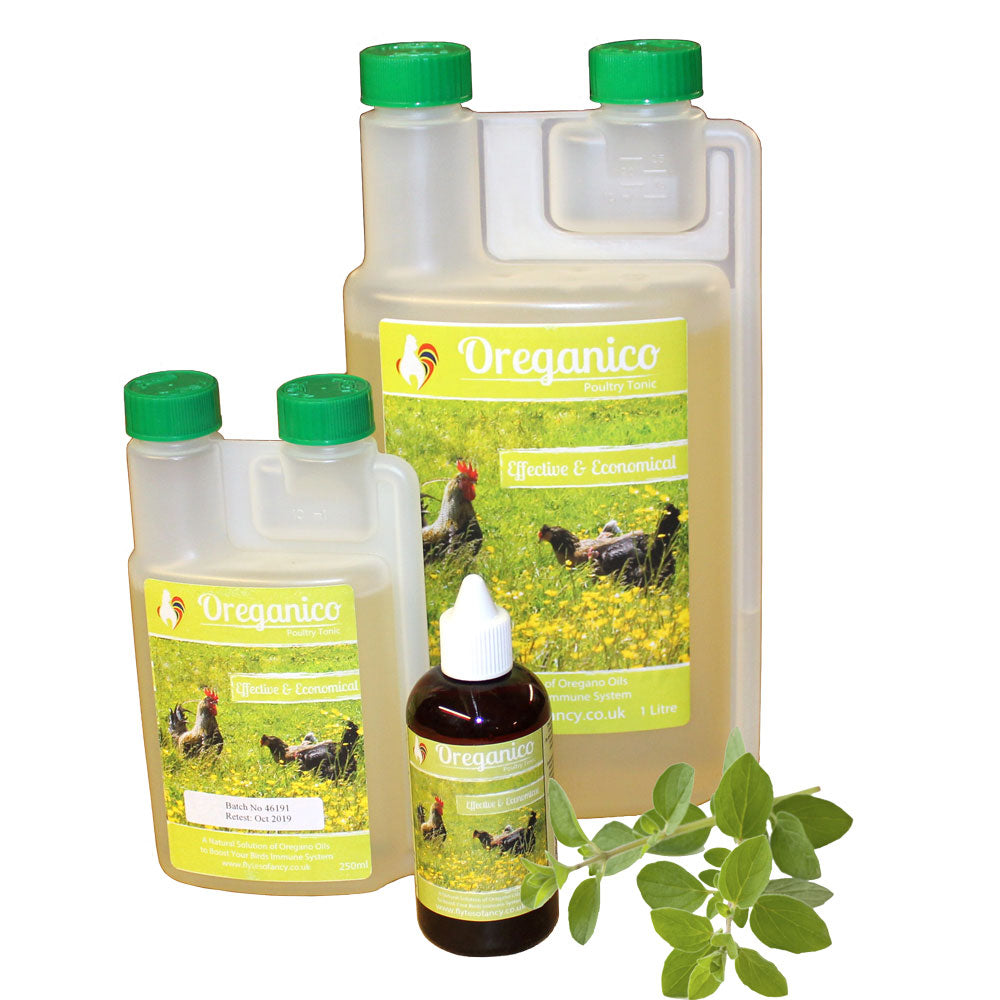 Oreganico Poultry Tonic from Flyte so Fancy - 100ml, 250ml or 1 litre