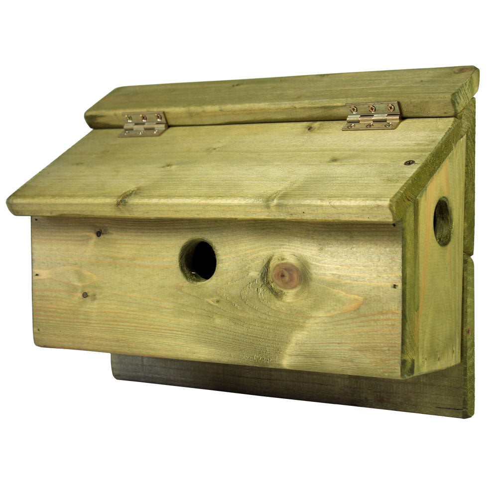 Green Flyte Sparrow Terrace Nesting Box