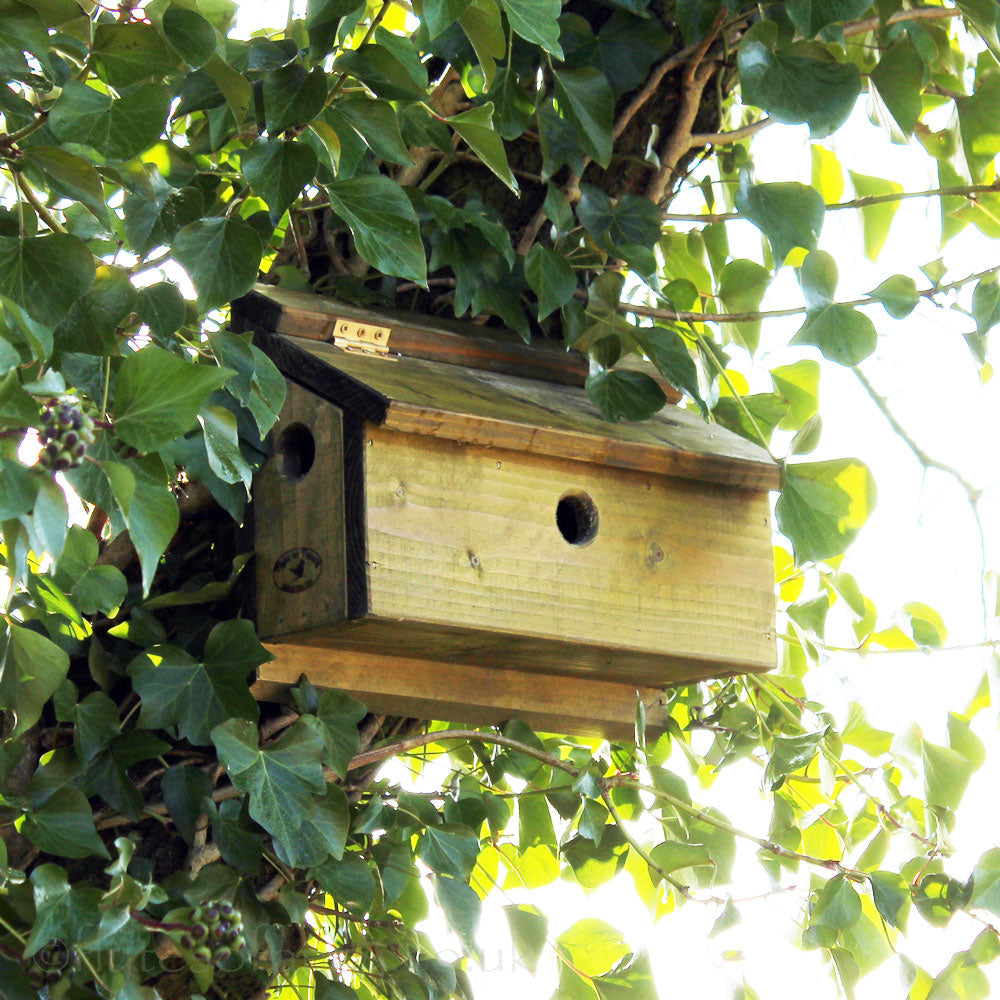 Green Flyte Sparrow Terrace Nesting Box in a tree