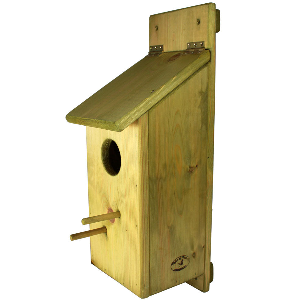 Green Flyte Woodpecker & Starling Nesting Box